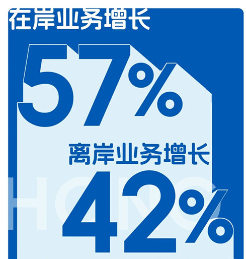 在岸业务与离岸业务